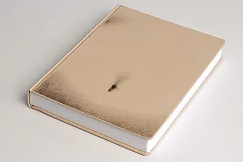 Cover of Omphalos