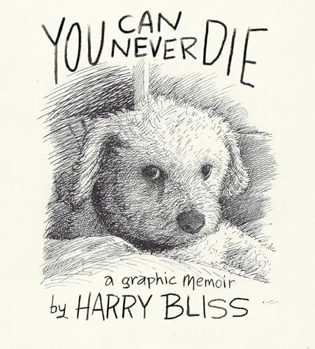 Cover of You Can Never Die