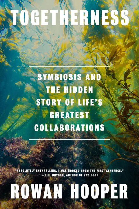 Cover of Togetherness