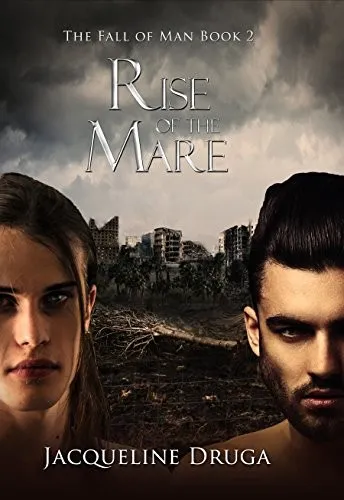 Cover of Flood