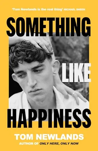 Cover of Something Like Happiness