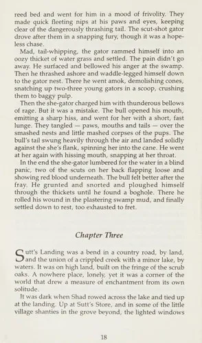 Cover of Swamp Sister