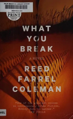 Cover of What You Break
