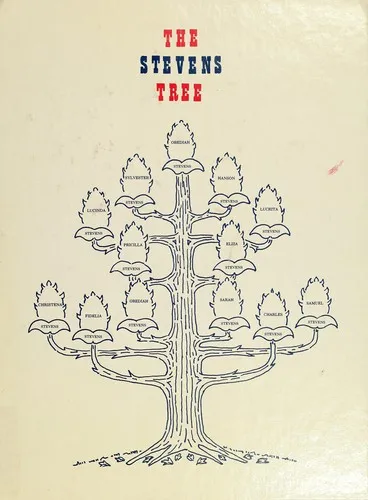 Cover of The Stevens Tree