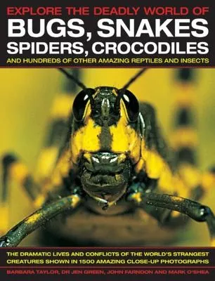 Cover of Explore the Deadly World of Bugs Snakes Spiders Crocodiles