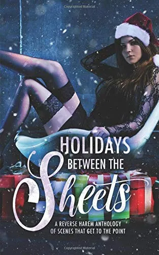 Cover of Holidays Between the Sheets